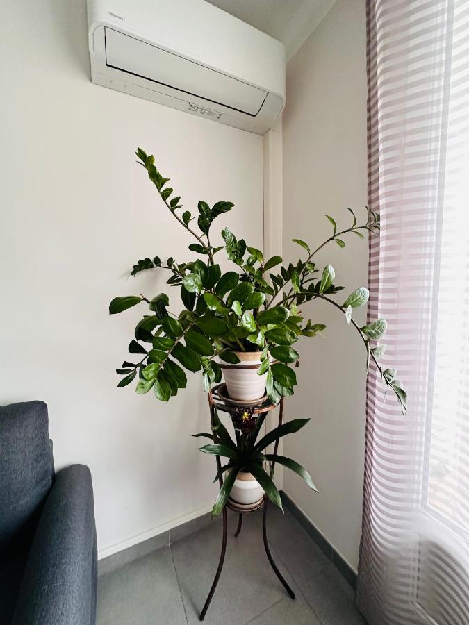 Le Soulier De Notre Dame Apartment Marseille Ngoại thất bức ảnh